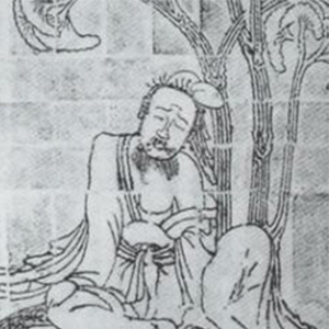 向秀的头像